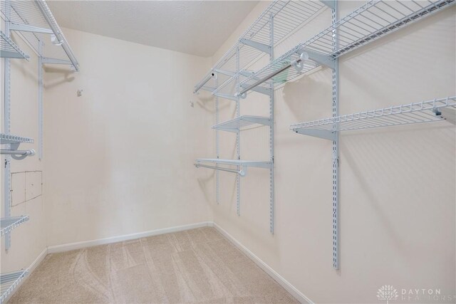 1360 Adamsmoor Dr, Waynesville, OH 45068 - walk in closet with carpet floors