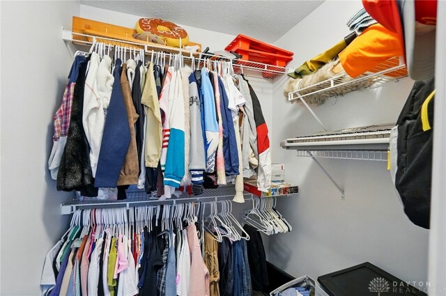 1510 Ash Ridge Ct, Vandalia, OH 45377 - view of spacious closet