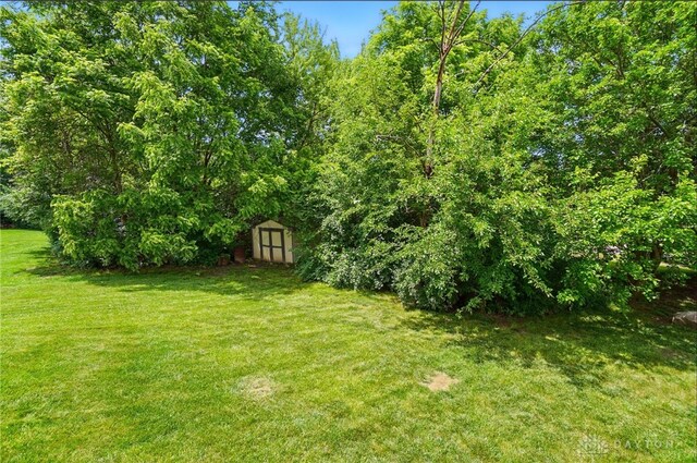 1510 Ash Ridge Ct, Vandalia, OH 45377 - view of grassy yard with a shed
