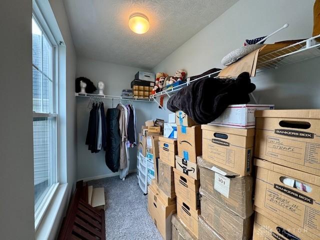 6460 Woodcreek Dr, Middletown, OH 45042 - walk in closet with carpet floors