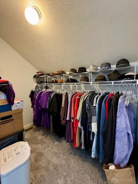 6460 Woodcreek Dr, Middletown, OH 45042 - walk in closet featuring carpet floors and lofted ceiling