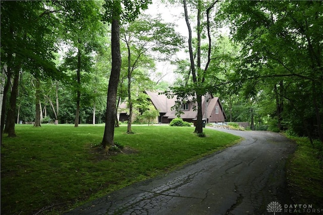6287 Dog Leg Rd, Dayton, OH 45415 - photo 47