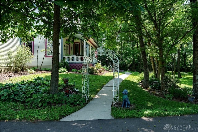 4072 Township Line Rd, Waynesville, OH 45068 - photo 8