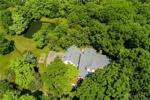 4072 Township Line Rd, Waynesville, OH 45068 - photo 87