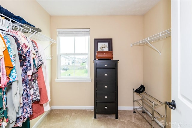3160 Coneflower Dr, Tipp City, OH 45371 - photo 25