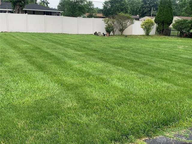 2222 Koebel Rd, Columbus, OH 43207 - view of yard