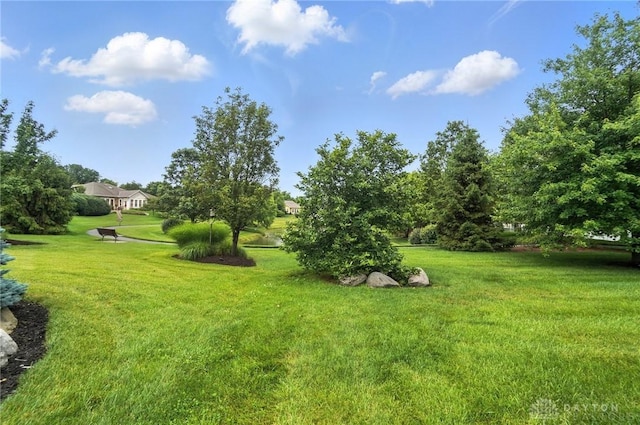 10101 Sawtry Ln, Washington Twp, OH 45458 - view of grassy yard
