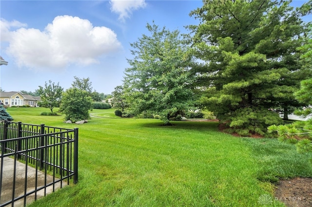 10101 Sawtry Ln, Washington Twp, OH 45458 - view of yard