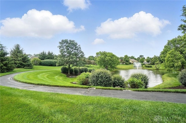 10101 Sawtry Ln, Washington Twp, OH 45458 - surrounding community with a water view and a yard