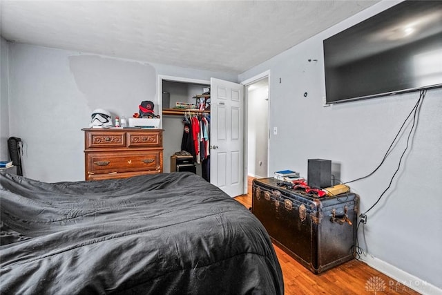 3878 State Route 49, Arcanum, OH 45304 - bedroom with light wood-type flooring and a closet