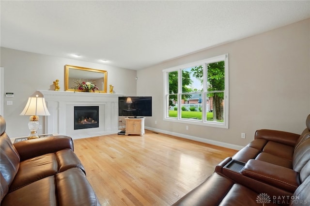 655 Devanshae Ct, Hamilton, OH 45013 - living room featuring wood finished floors and a fireplace with flush hearth