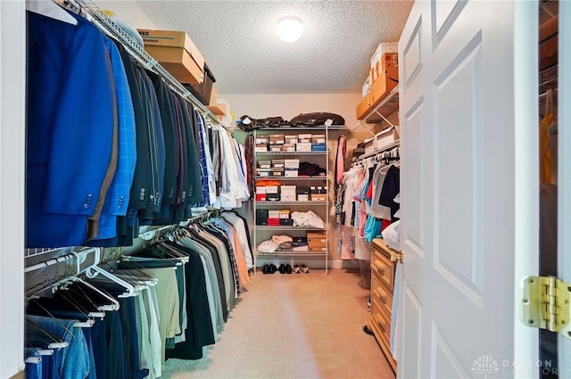 655 Devanshae Ct, Hamilton, OH 45013 - walk in closet featuring carpet floors
