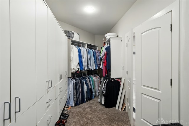219 Chateau Valley Ln, South Lebanon, OH 45065 - photo 65