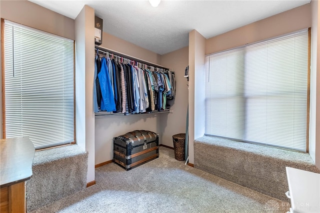 195 Sycamore Creek Dr, Springboro, OH 45066 - walk in closet featuring carpet flooring