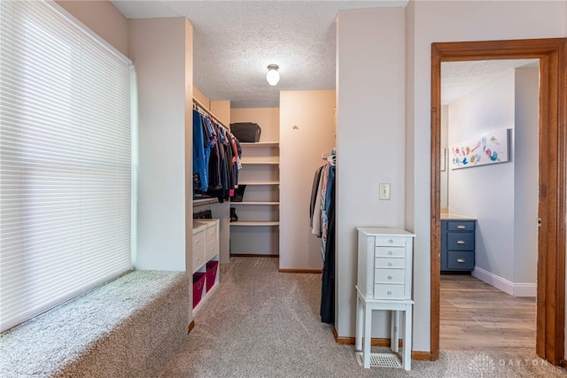 195 Sycamore Creek Dr, Springboro, OH 45066 - walk in closet with carpet flooring