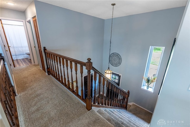 195 Sycamore Creek Dr, Springboro, OH 45066 - stairs with carpet