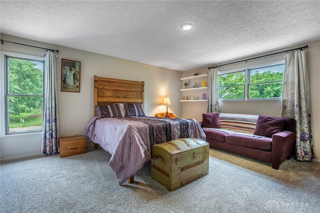 195 Sycamore Creek Dr, Springboro, OH 45066 - bedroom with carpet, a textured ceiling, and multiple windows