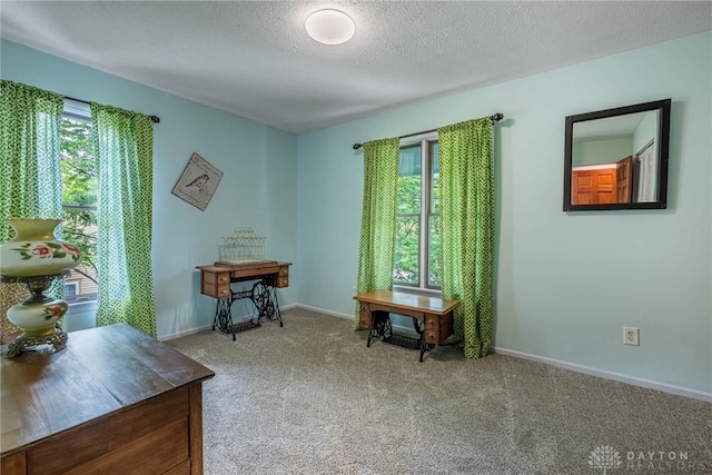 195 Sycamore Creek Dr, Springboro, OH 45066 - home office featuring plenty of natural light, carpet floors, and a textured ceiling