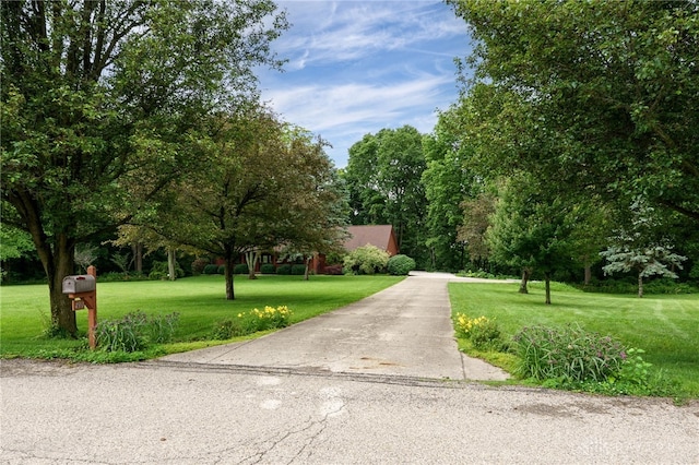 4911 Arabian Dr, Fairborn, OH 45324 - surrounding community with a lawn