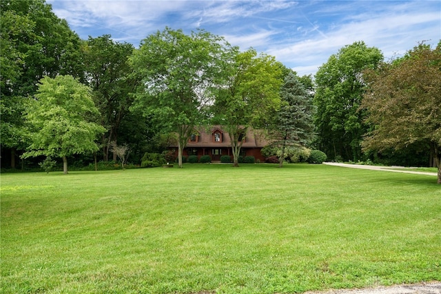 4911 Arabian Dr, Fairborn, OH 45324 - view of grassy yard