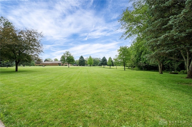 4911 Arabian Dr, Fairborn, OH 45324 - view of green lawn