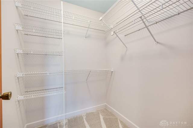 4911 Arabian Dr, Fairborn, OH 45324 - spacious closet with carpet flooring