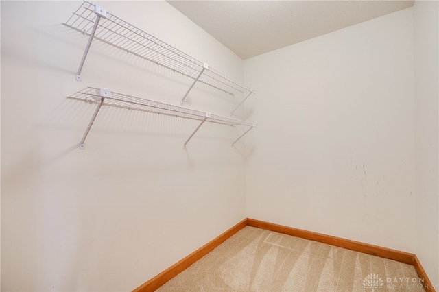 4911 Arabian Dr, Fairborn, OH 45324 - walk in closet with carpet floors
