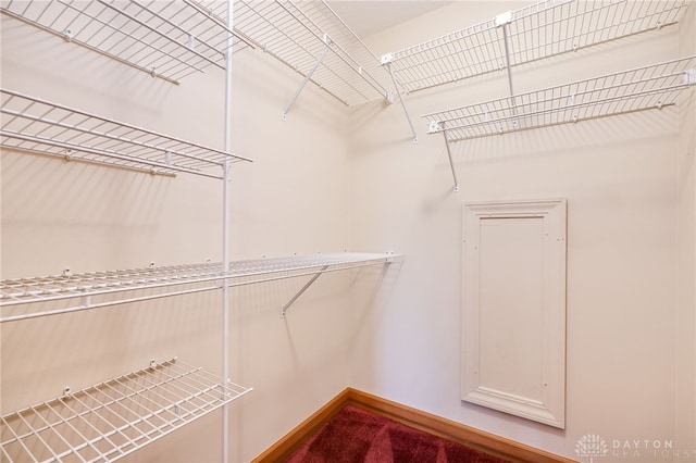 4911 Arabian Dr, Fairborn, OH 45324 - walk in closet featuring dark colored carpet