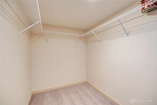 4911 Arabian Dr, Fairborn, OH 45324 - spacious closet with carpet