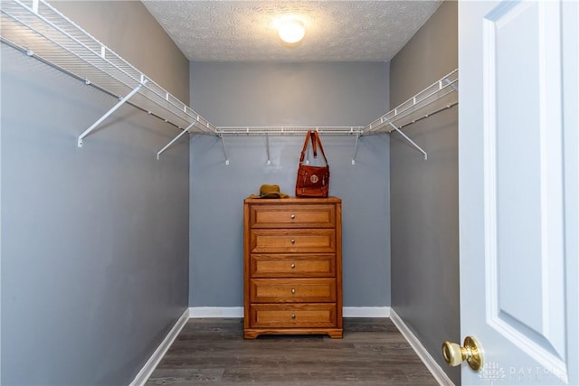 160 Worthington Dr, Germantown, OH 45327 - walk in closet featuring dark wood finished floors