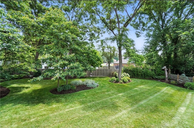 356 Saint James Pl, Springboro, OH 45066 - view of yard