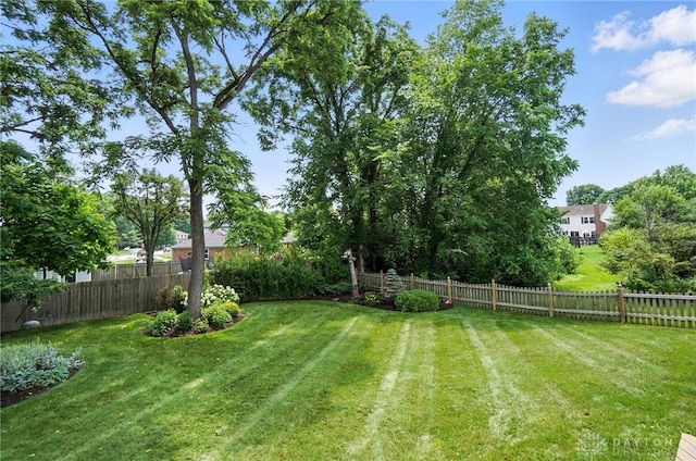 356 Saint James Pl, Springboro, OH 45066 - view of yard
