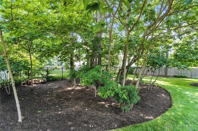 356 Saint James Pl, Springboro, OH 45066 - view of fenced backyard