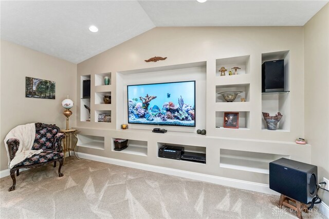 255 Belle Watlin Ct, Dayton, OH 45434 - cinema with built in features, vaulted ceiling, and carpet flooring