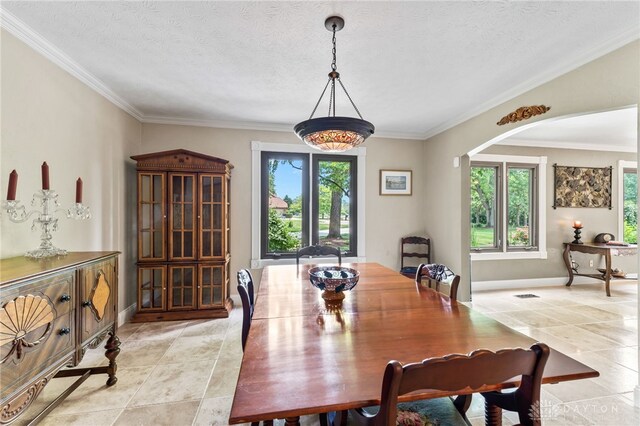 255 Belle Watlin Ct, Dayton, OH 45434 - dining space featuring healthy amount of natural light, light tile patterned floors, ornamental molding, and a textured ceiling