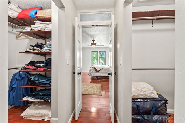 255 Belle Watlin Ct, Dayton, OH 45434 - spacious closet with wood finished floors and a ceiling fan