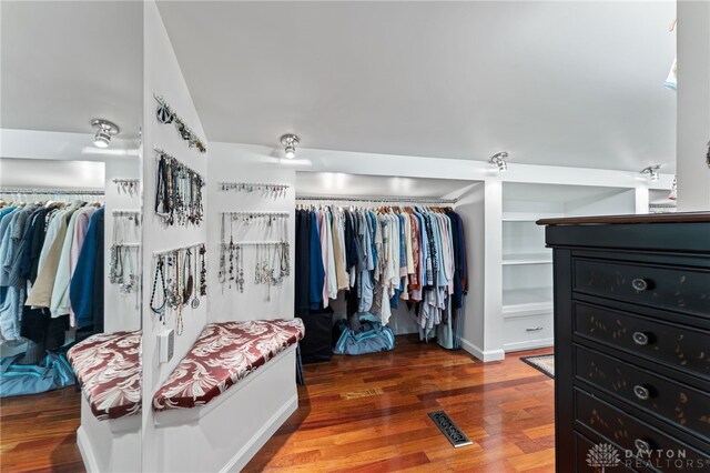 255 Belle Watlin Ct, Dayton, OH 45434 - walk in closet featuring wood finished floors