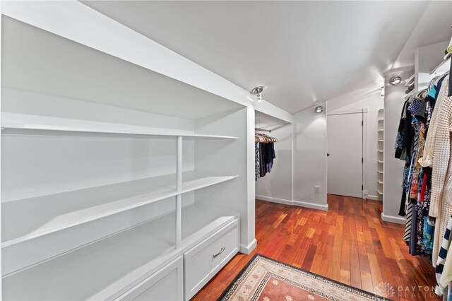 255 Belle Watlin Ct, Dayton, OH 45434 - walk in closet with wood finished floors