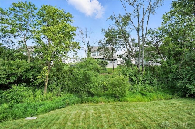 3109 Running Deer Trl, Franklin Twp, OH 45005 - view of yard