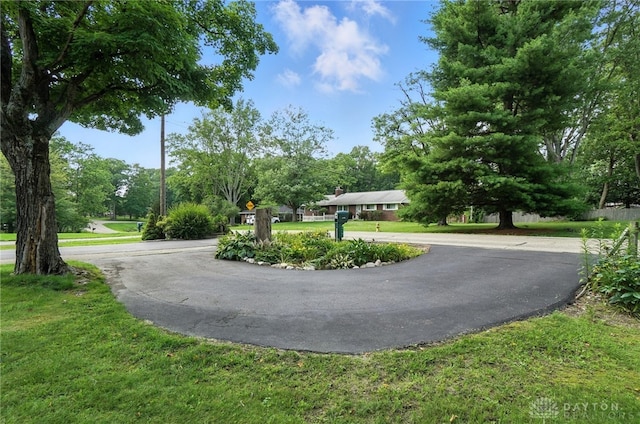 4161 Sunbeam Ave, Beavercreek, OH 45440 - photo 5