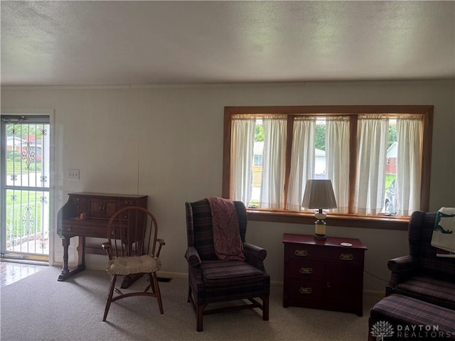 435 Nies Ave, Englewood, OH 45322 - sitting room with carpet floors and a textured ceiling