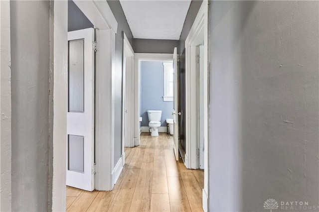 119 Wilson St, Hamilton, OH 45011 - hallway with light wood-type flooring and baseboards