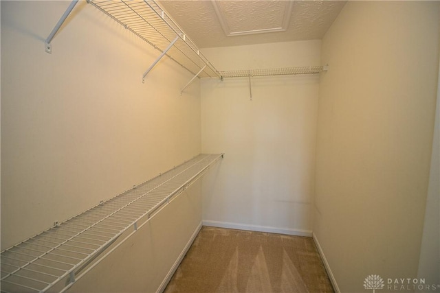 2710 Zoellners Way, Fairfield Twp, OH 45011 - walk in closet featuring carpet floors