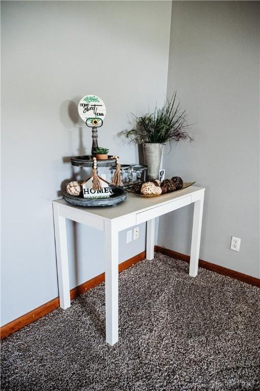 916 Wilson Rd, Troy, OH 45373 - detailed view of carpet flooring