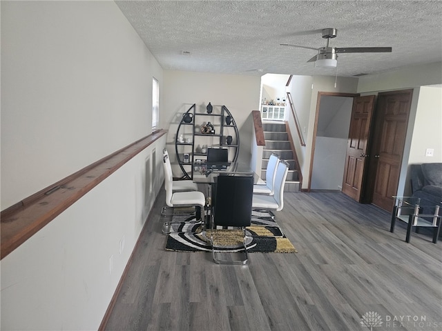 5981 Mount Royal Dr, Clayton, OH 45315 - photo 20
