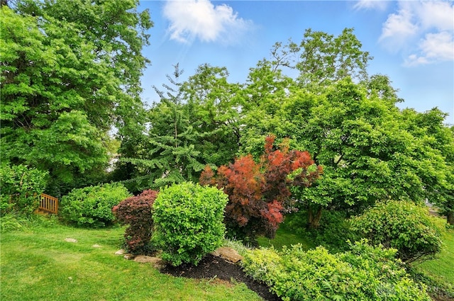 2344 Quatman Ave, Norwood, OH 45212 - view of yard