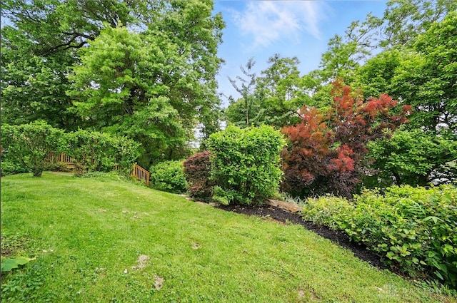 2344 Quatman Ave, Norwood, OH 45212 - view of yard
