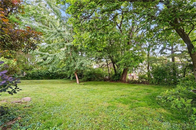 2344 Quatman Ave, Norwood, OH 45212 - view of grassy yard