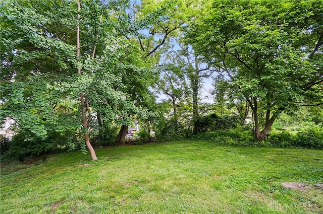 2344 Quatman Ave, Norwood, OH 45212 - view of green lawn