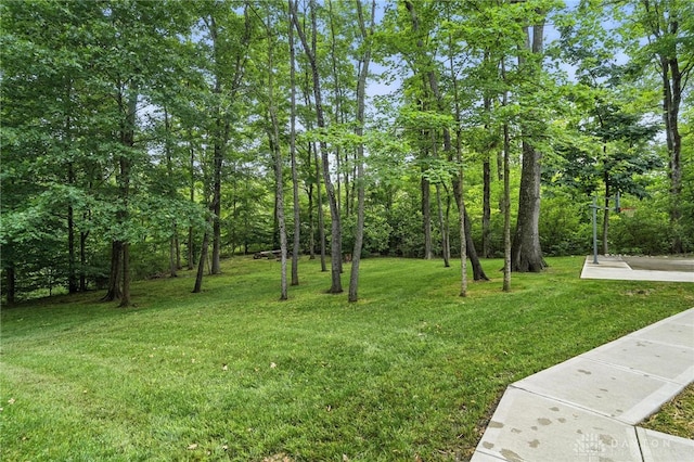 9258 Clyo Rd, Dayton, OH 45458 - photo 66